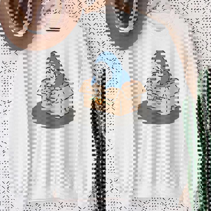 箱入りサメ スウェットシャツ 年配の女性への贈り物