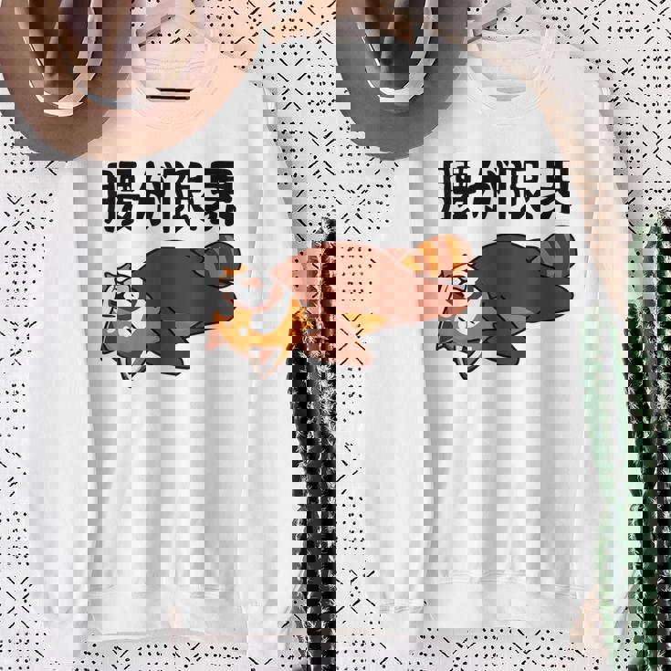 腰が限界 レッサーパンダ 面白いtシャツ 文字入り メンズ おもしろ 面白い 服 オリジナル おもしろグッズ 文字 スウェットシャツ 年配の女性への贈り物