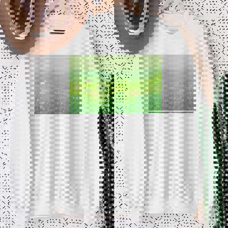 詩とメルヘン 葉祥明 妖精の棲む森 スウェットシャツ 年配の女性への贈り物