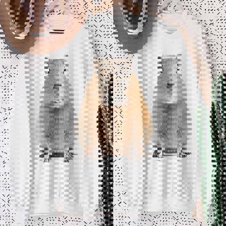 豚 ペット げっ歯類 動物愛好家 ギフト スウェットシャツ 年配の女性への贈り物