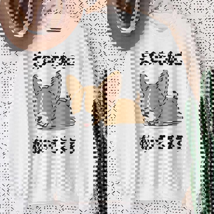 面白いtシャツ チワワ イヌ わんこ メンズ 犬好き グッズ おもしろ 面白い 服 ネタ わんこ スウェットシャツ 年配の女性への贈り物