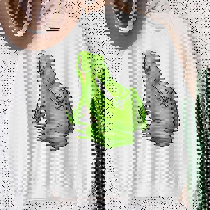 面白い邪悪なカエル サカラスティック 怒っているカエル かわいい 不機嫌な狂気 スウェットシャツ 年配の女性への贈り物