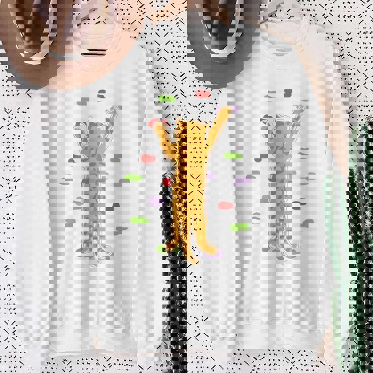 面白くてかわいいボルダーロッククライミングキャット背中にプリント スウェットシャツ 年配の女性への贈り物