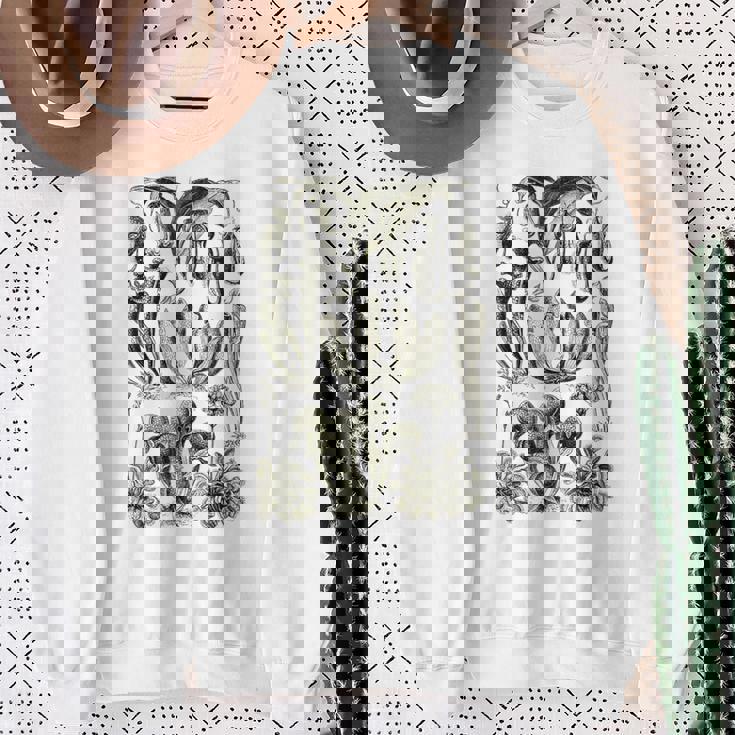 食虫植物 ヴィンテージ サラセニア ボタニカル スウェットシャツ 年配の女性への贈り物