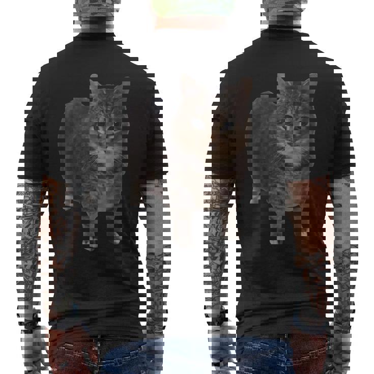 Oiia Oiia 猫 面白い 回転する猫 ミーム メンズTシャツ バックプリント