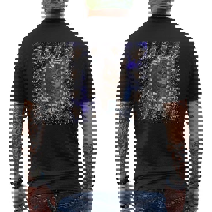 Oiiaa Oiiaa Cat Brainrotiralpining Cat Meme メンズTシャツ バックプリント
