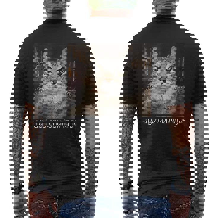 Rage Is Consuming Me 愚かな凝視猫ミーム メンズTシャツ バックプリント
