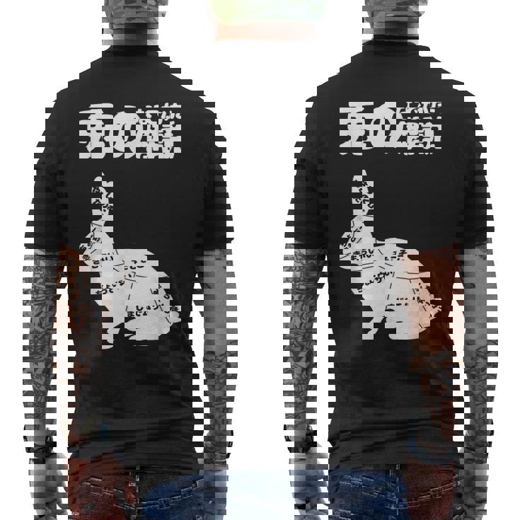 うさぎの撫で方解説 ウサギ好き うさぎ好き うさぎの飼い主 おもしろ うさぎ 兎 メンズTシャツ バックプリント