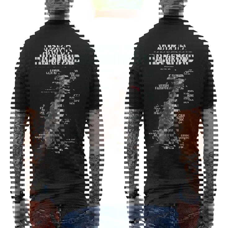 イタリアングレイハウンドの解剖学 メンズTシャツ バックプリント