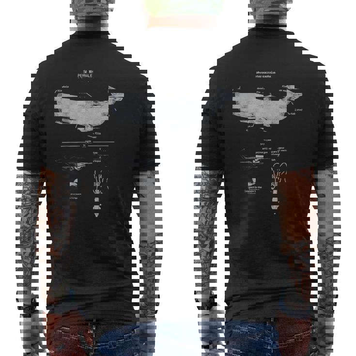 マッコウクジラの解剖学 海洋生物学者 メンズTシャツ バックプリント