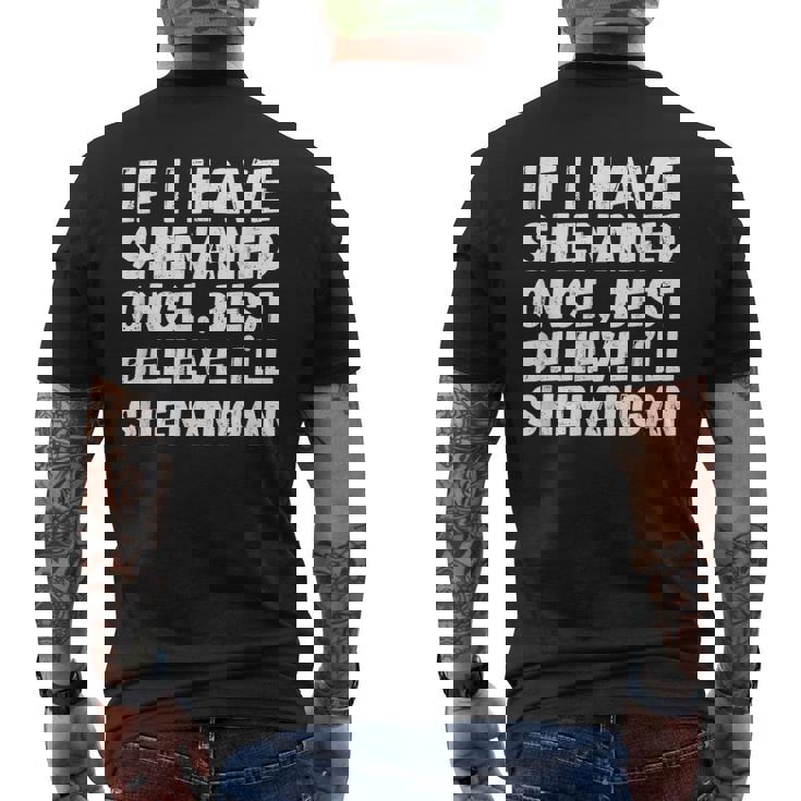 ヴィンテージ聖パティの日シェナン かつて面白いシェナニガンギフト メンズTシャツ バックプリント