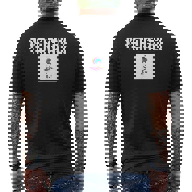 平沢旗 アパレル ナショナルプライド お土産ギフト メンズTシャツ バックプリント