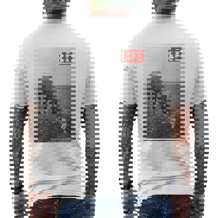 Life Picture Collection 馬と猫（1） メンズTシャツ バックプリント