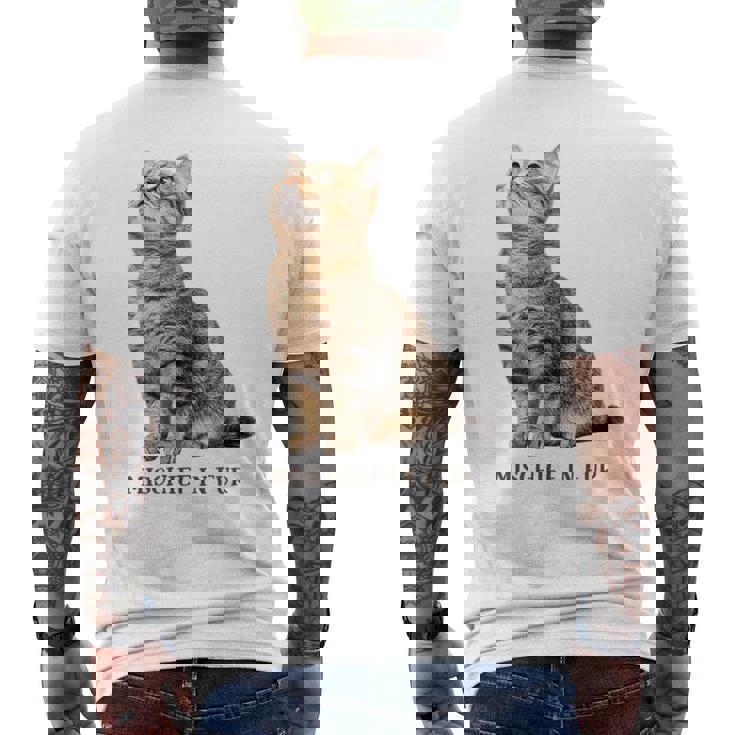 Mischief In Fur 猫写真 キジトラ 猫好き ネタ 猫しもべ 猫飼い 猫依存症 猫オーナー メンズTシャツ バックプリント