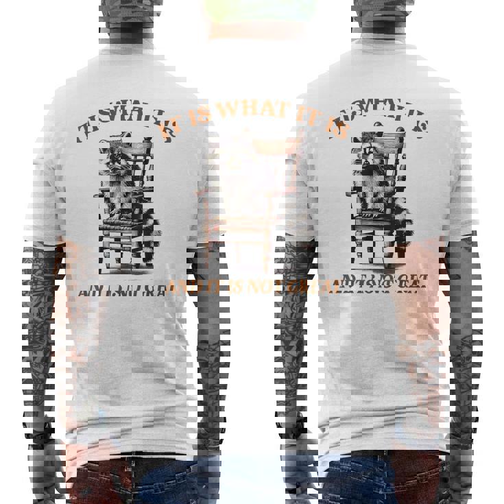 アライグマのミーム It's What It's And It Is Not Greatarcastic メンズTシャツ バックプリント