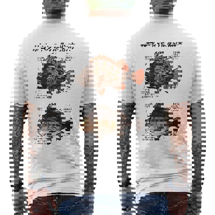カサゴとメバルの見分け方 メンズTシャツ バックプリント