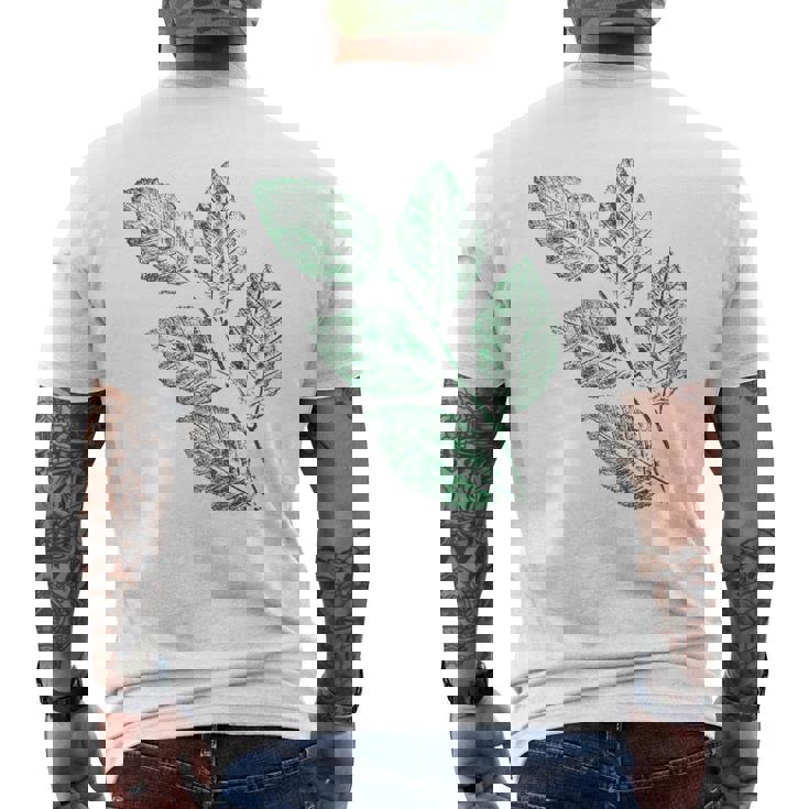 ブナの葉 植物 自然と森林 木のグラフィックス メンズTシャツ バックプリント