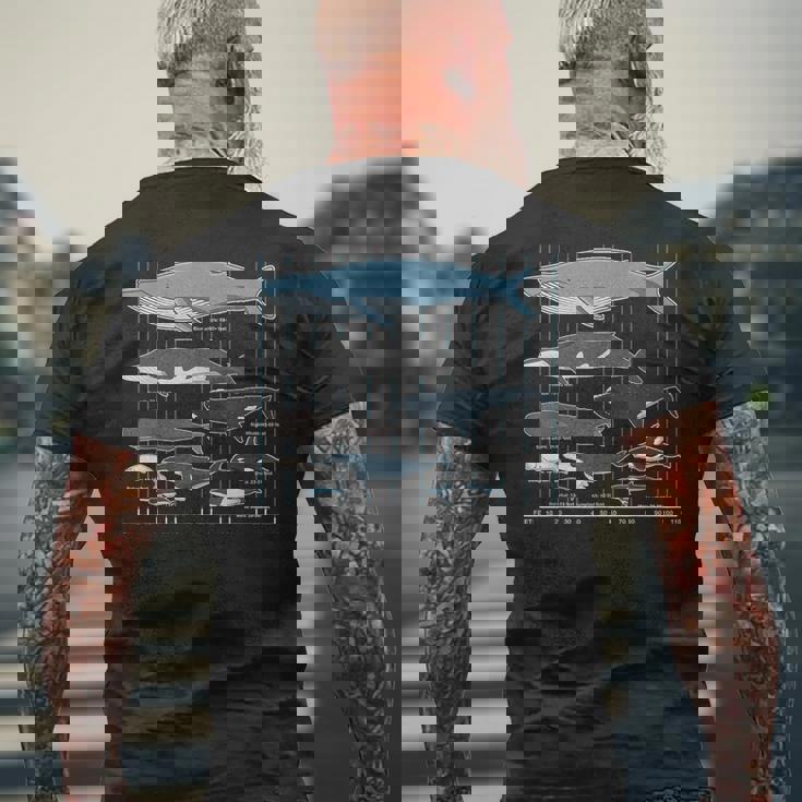 クジラの種類 メンズTシャツ バックプリント 高齢者への贈り物