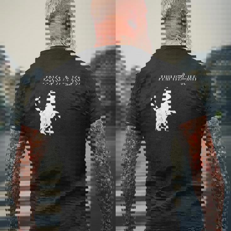 シュロディンガース 猫方程式物理学 オタク物理学 科学 メンズTシャツ バックプリント 高齢者への贈り物