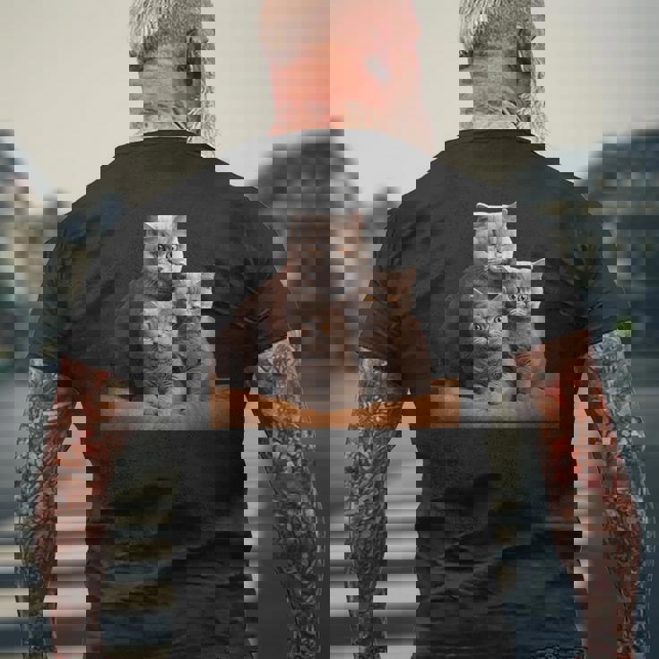 ブリティッシュショートヘアキャット 母の日 ブリティッシュショートヘアキャット メンズTシャツ バックプリント 高齢者への贈り物