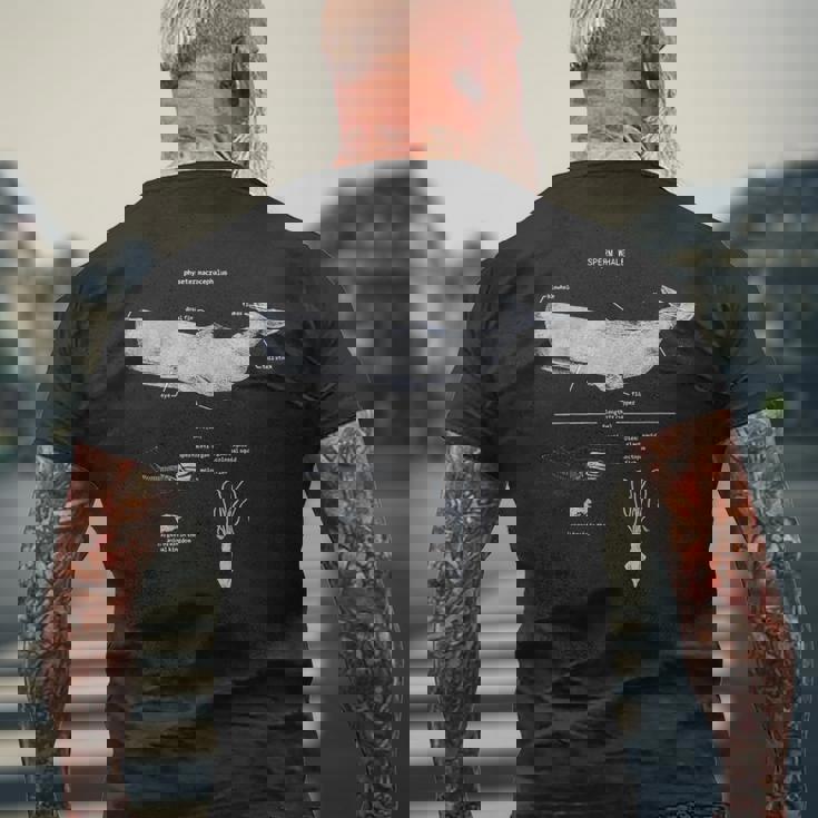 マッコウクジラの解剖学 海洋生物学者 メンズTシャツ バックプリント 高齢者への贈り物