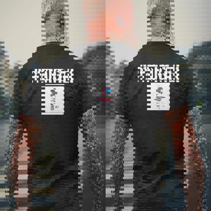 平沢旗 アパレル ナショナルプライド お土産ギフト メンズTシャツ バックプリント 高齢者への贈り物