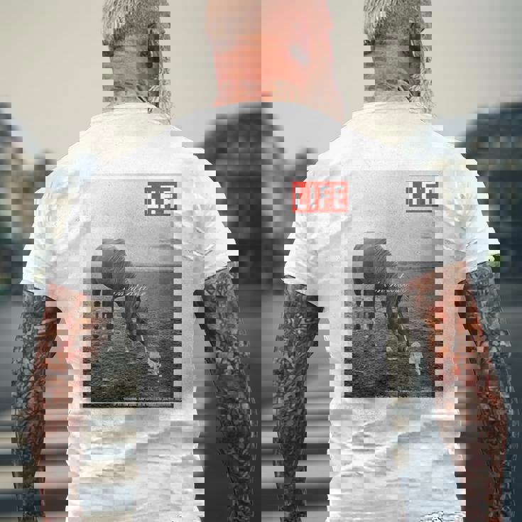 Life Picture Collection 馬と猫（1） メンズTシャツ バックプリント 高齢者への贈り物