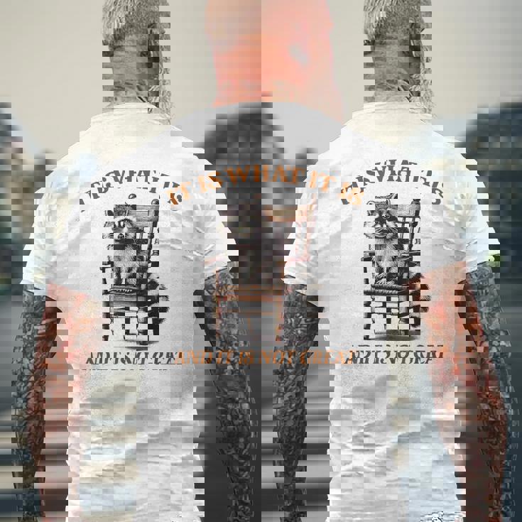 アライグマのミーム It's What It's And It Is Not Greatarcastic メンズTシャツ バックプリント 高齢者への贈り物