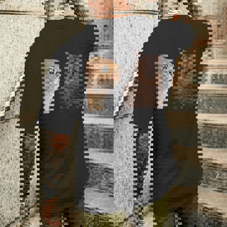 2匹の猫がミームを話す メンズTシャツ バックプリント 彼への贈り物