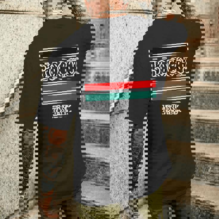 Bocci ぼっち ロゴ Itaiy 痛い イタリア国旗風【変なtシャツ屋さん】陰キャ オタク ブランド パロディ 面白 メンズTシャツ バックプリント 彼への贈り物