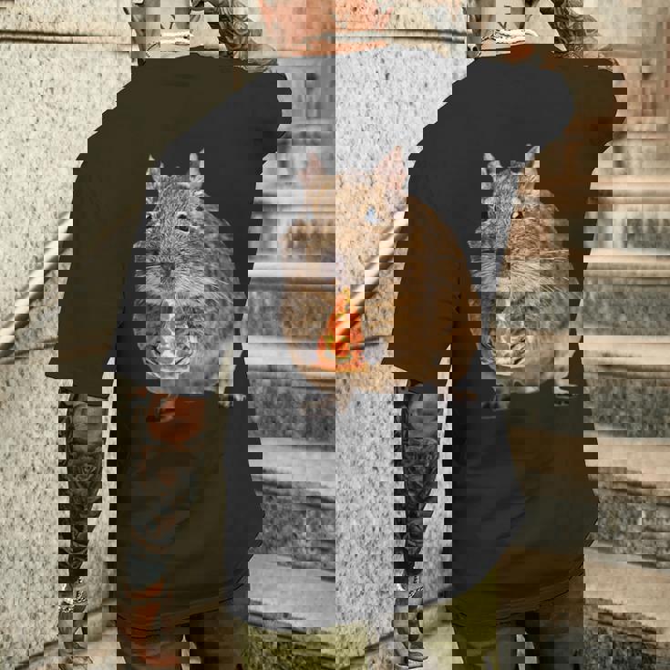 Degu Eating Alice Of Pizza メンズTシャツ バックプリント 彼への贈り物