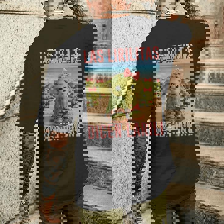 Las Lirilitas Dicen Larili イタリアン ブレイン モンスター Ai キッズ メンズTシャツ バックプリント 彼への贈り物