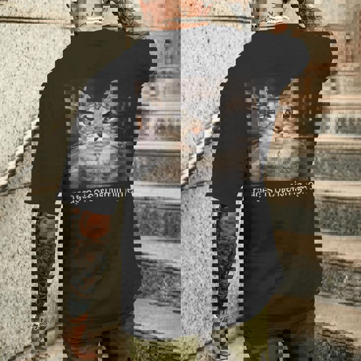 Rage Is Consuming Me 愚かな凝視猫ミーム メンズTシャツ バックプリント 彼への贈り物