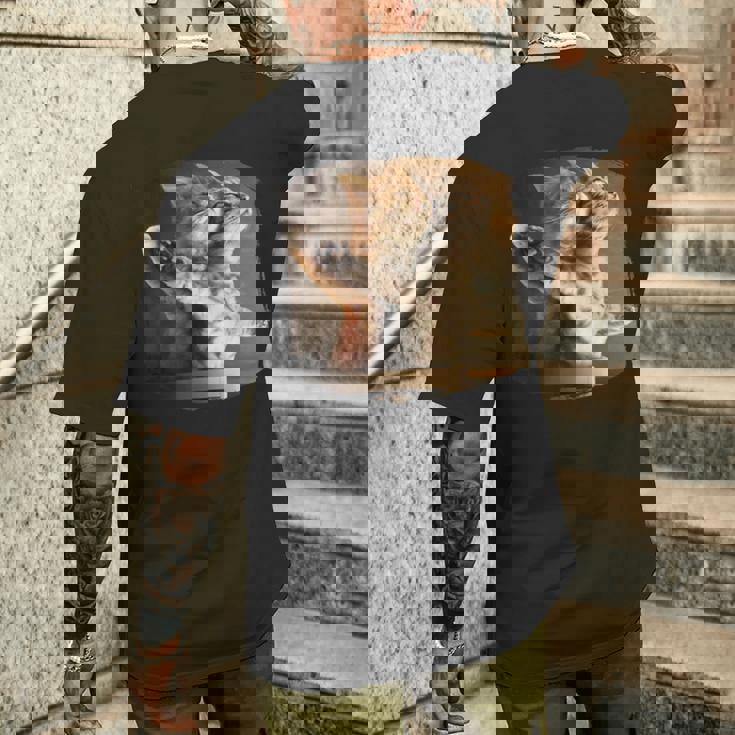 TitaniCムービーにインスパイアされた面白い猫好きのミーム。 メンズTシャツ バックプリント 彼への贈り物