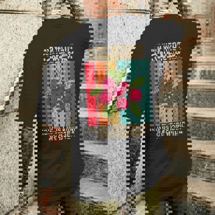 Vintage A Day Without Cranberry I Have No Idea クランベリー メンズTシャツ バックプリント 彼への贈り物