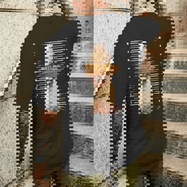 かわいいフェレット泥棒 面白い動物 メンズTシャツ バックプリント 彼への贈り物