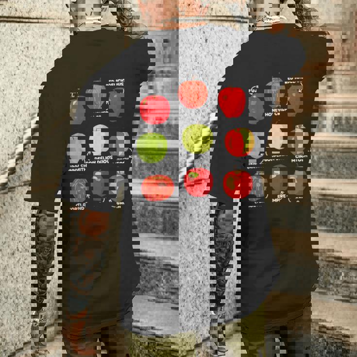 りんごの種類 りんご好き リンゴ果樹園 りんご狩り メンズTシャツ バックプリント 彼への贈り物