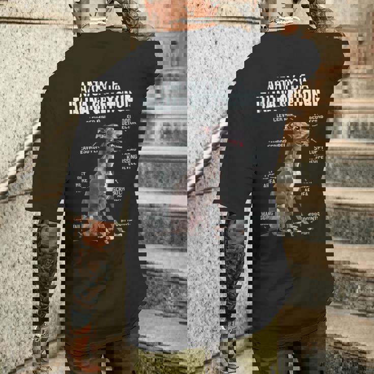 イタリアングレイハウンドの解剖学 メンズTシャツ バックプリント 彼への贈り物