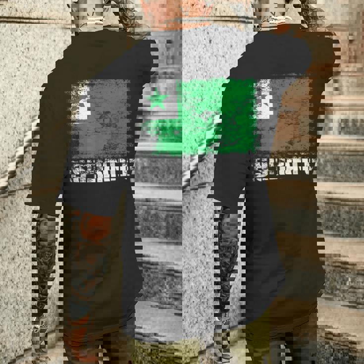 エスペラント国旗tシャツ メンズTシャツ バックプリント 彼への贈り物