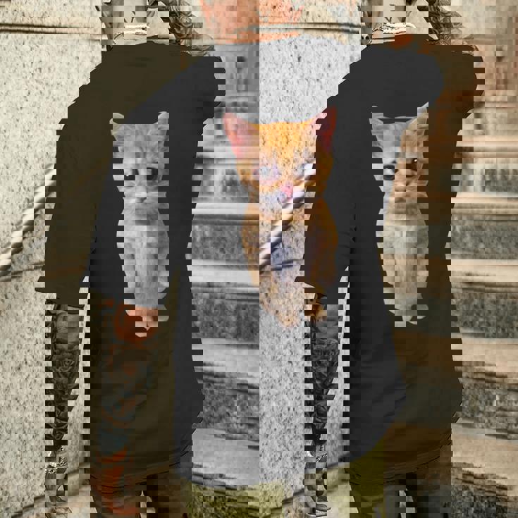 エルガト ミーム 悲しい泣き猫 マンチキン キティ ミーム トレンディ メンズTシャツ バックプリント 彼への贈り物