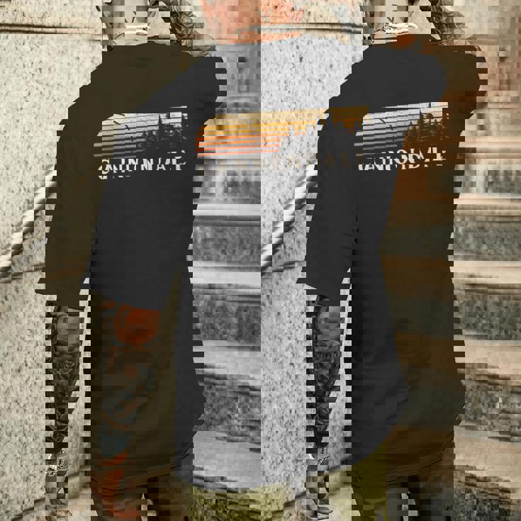 キャノンデール、Ct ヴィンテージ エバーグリーン サンセット 80年代 レトロ メンズTシャツ バックプリント 彼への贈り物