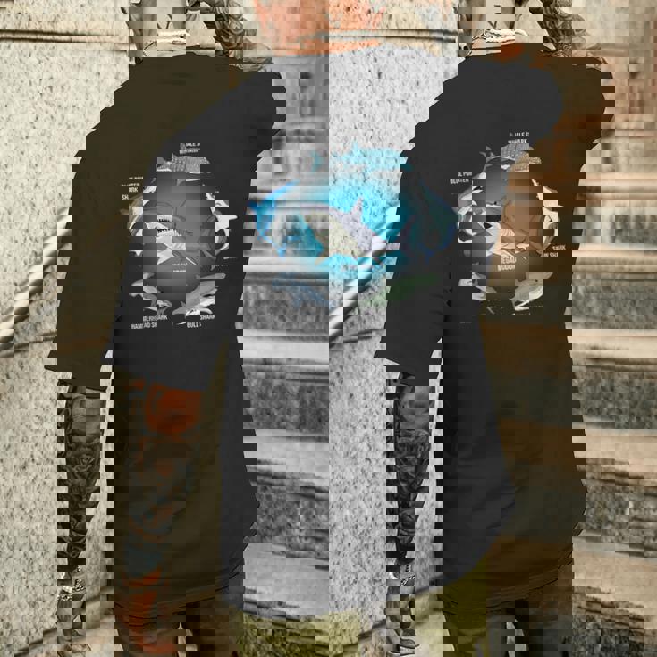 サメ6種 サメタイプ サメ 海の生き物 メガロドン サメ メンズTシャツ バックプリント 彼への贈り物