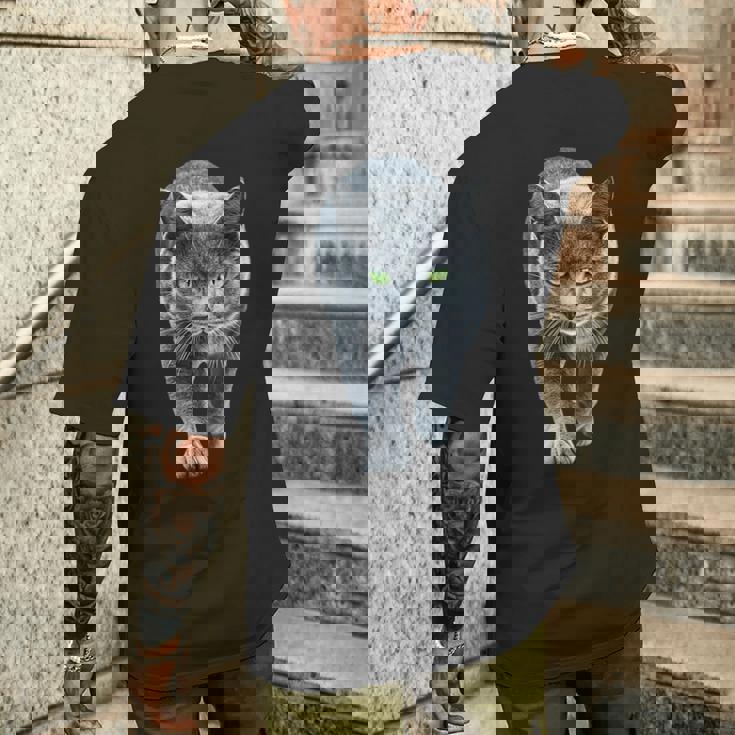 シャルトリュー メンズTシャツ バックプリント 彼への贈り物