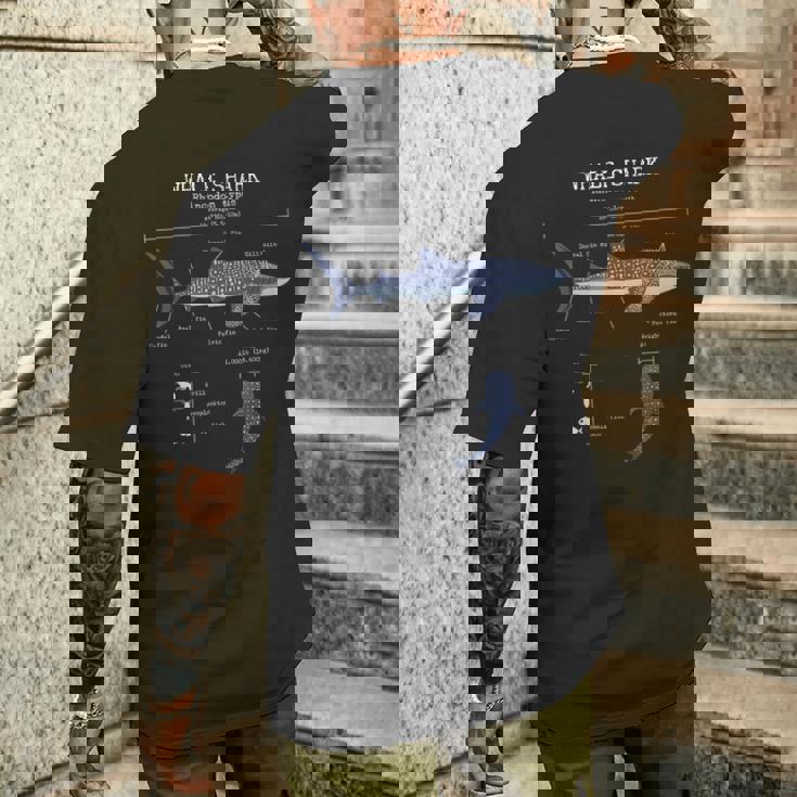 ジンベイザメ 解剖学 メンズ レディース キッズ ジンベイザメ メンズTシャツ バックプリント 彼への贈り物