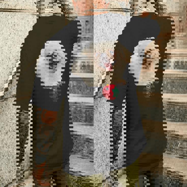 スマイル ペキニーズサニー メンズTシャツ バックプリント 彼への贈り物