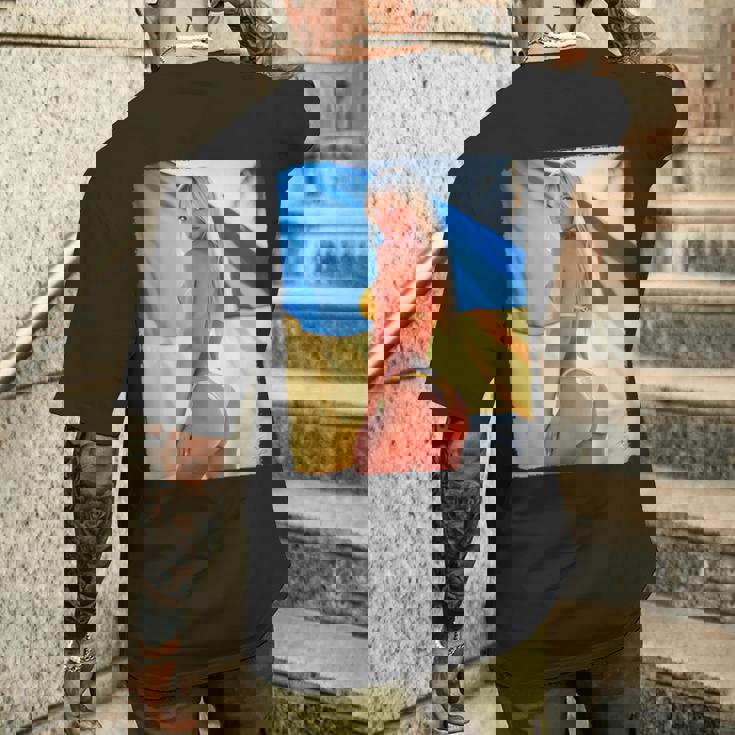 セクシーガールグラフィックtシャツ 「モダンピンナップガール&ウクライナ国旗2」 メンズTシャツ バックプリント 彼への贈り物