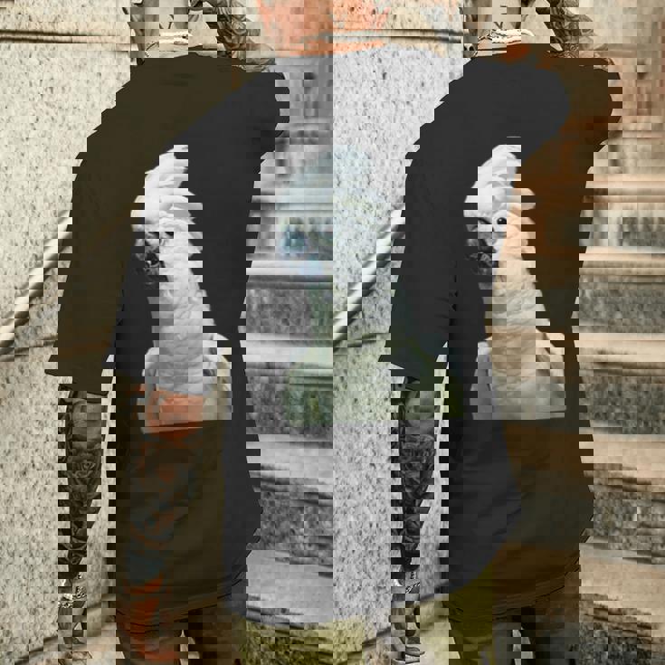 タイハクオウム 鳥 オウム メンズTシャツ バックプリント 彼への贈り物