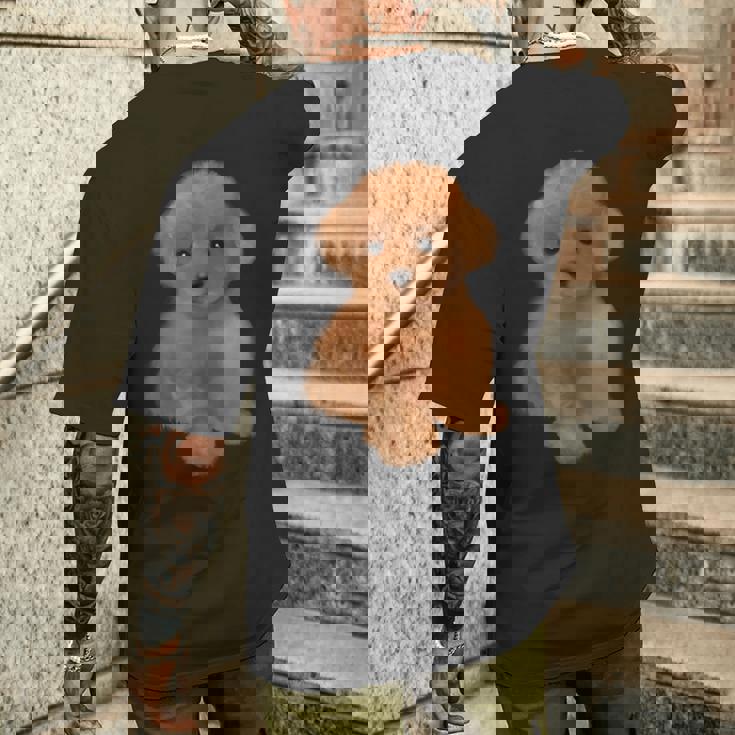 トイプードル 犬種 ミニプードル 子犬 メンズTシャツ バックプリント 彼への贈り物