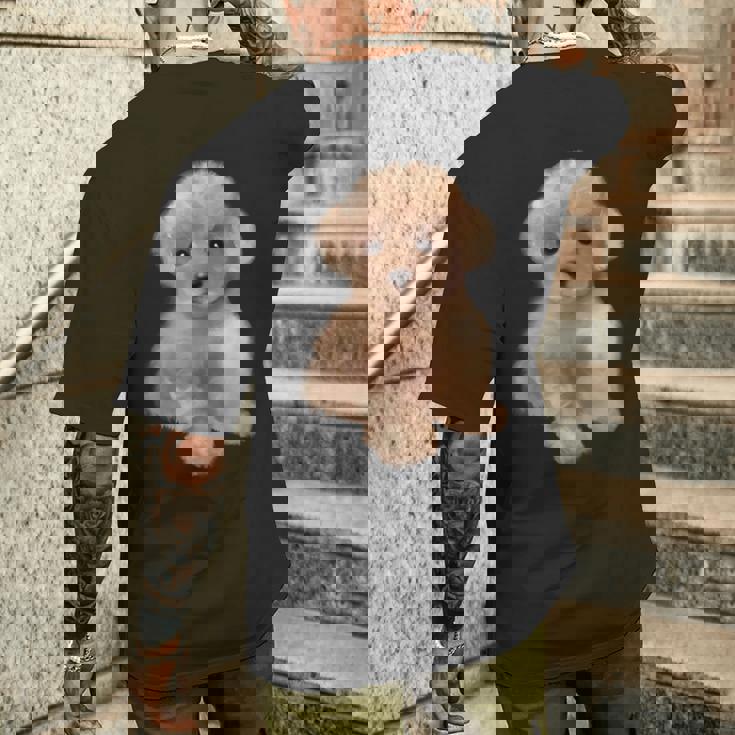 トイプードル犬、品種、ミニプードル子犬 メンズTシャツ バックプリント 彼への贈り物