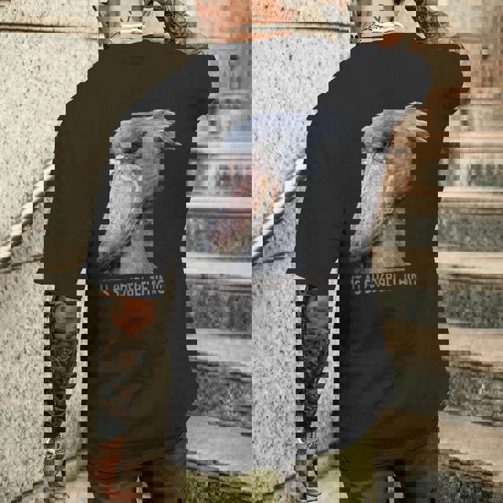 ハシビロコウそれはハシビロコウです メンズTシャツ バックプリント 彼への贈り物